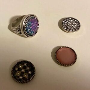 Premier interchangeable ring